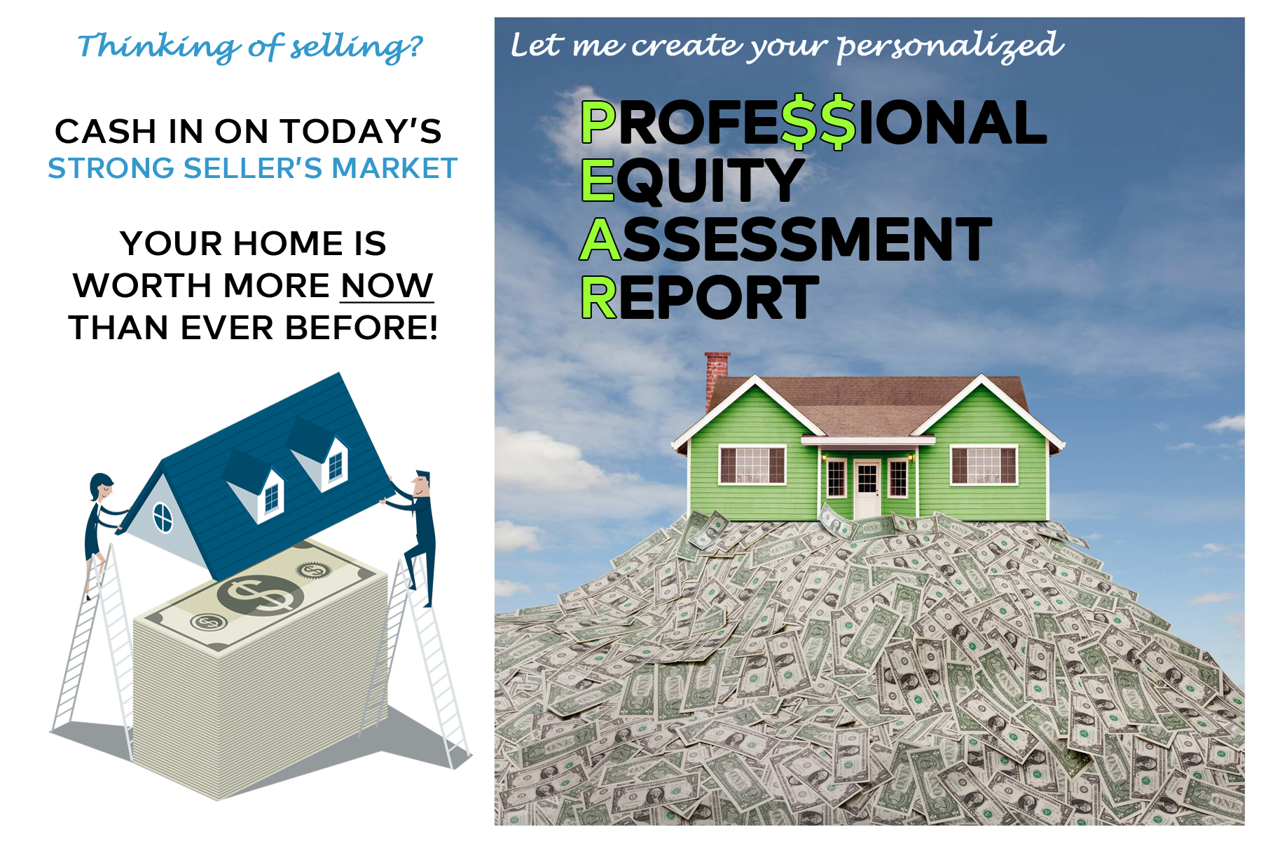 Professional Equity Assessment Report
